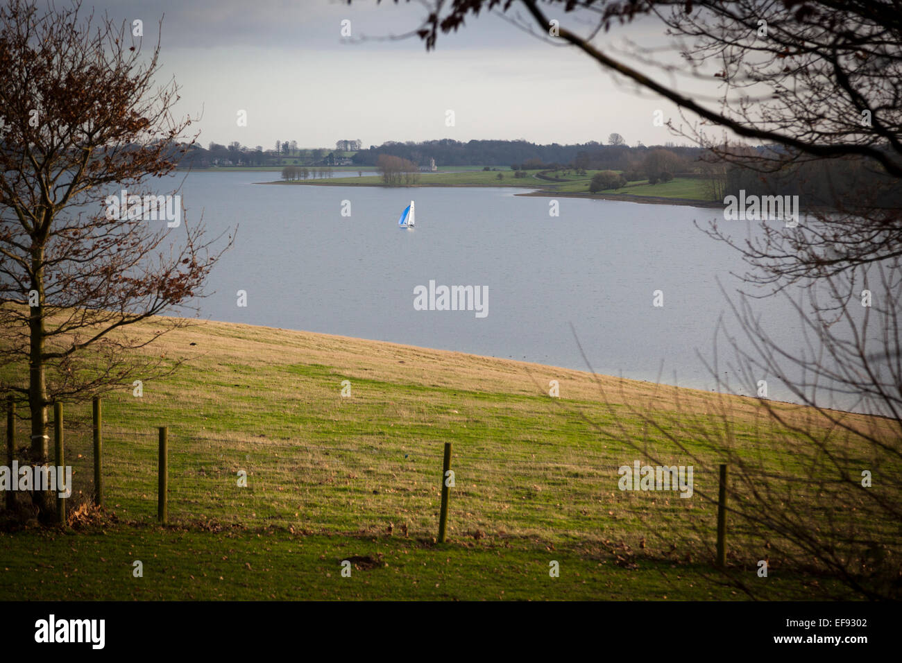 A solitary sailing dinghy on Rutland Water in winter Stock Photo Alamy