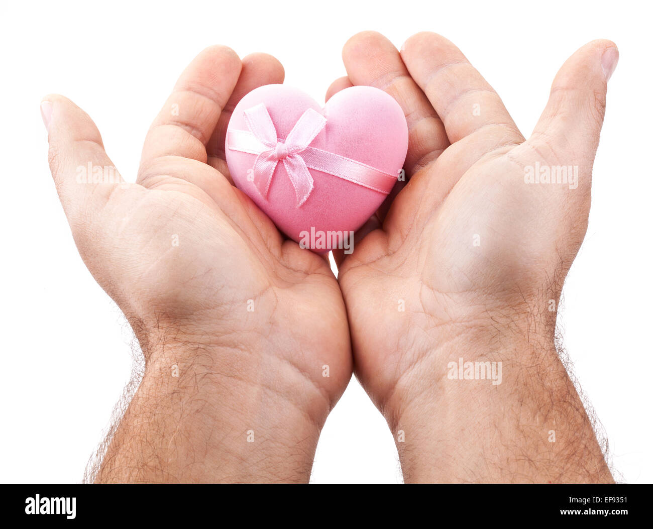 Pink heart in male hands on a white background. Stock Photo