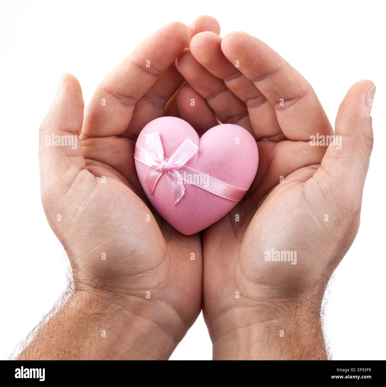 Pink heart in male hands on a white background. Stock Photo
