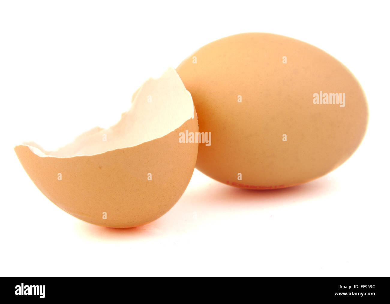 Egg and broken egg on white background Stock Photo - Alamy