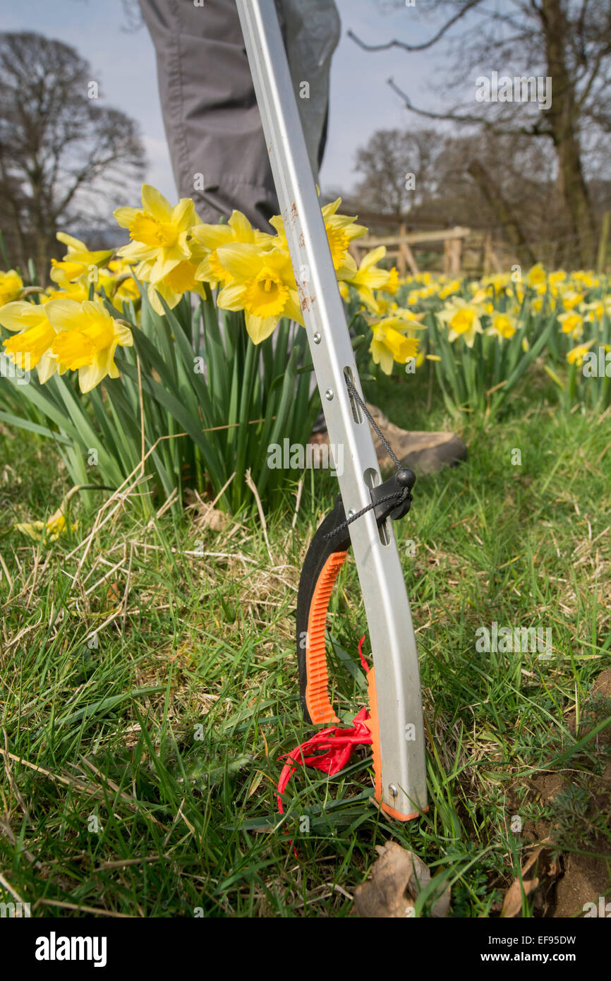 Picking litter hires stock photography and images Alamy