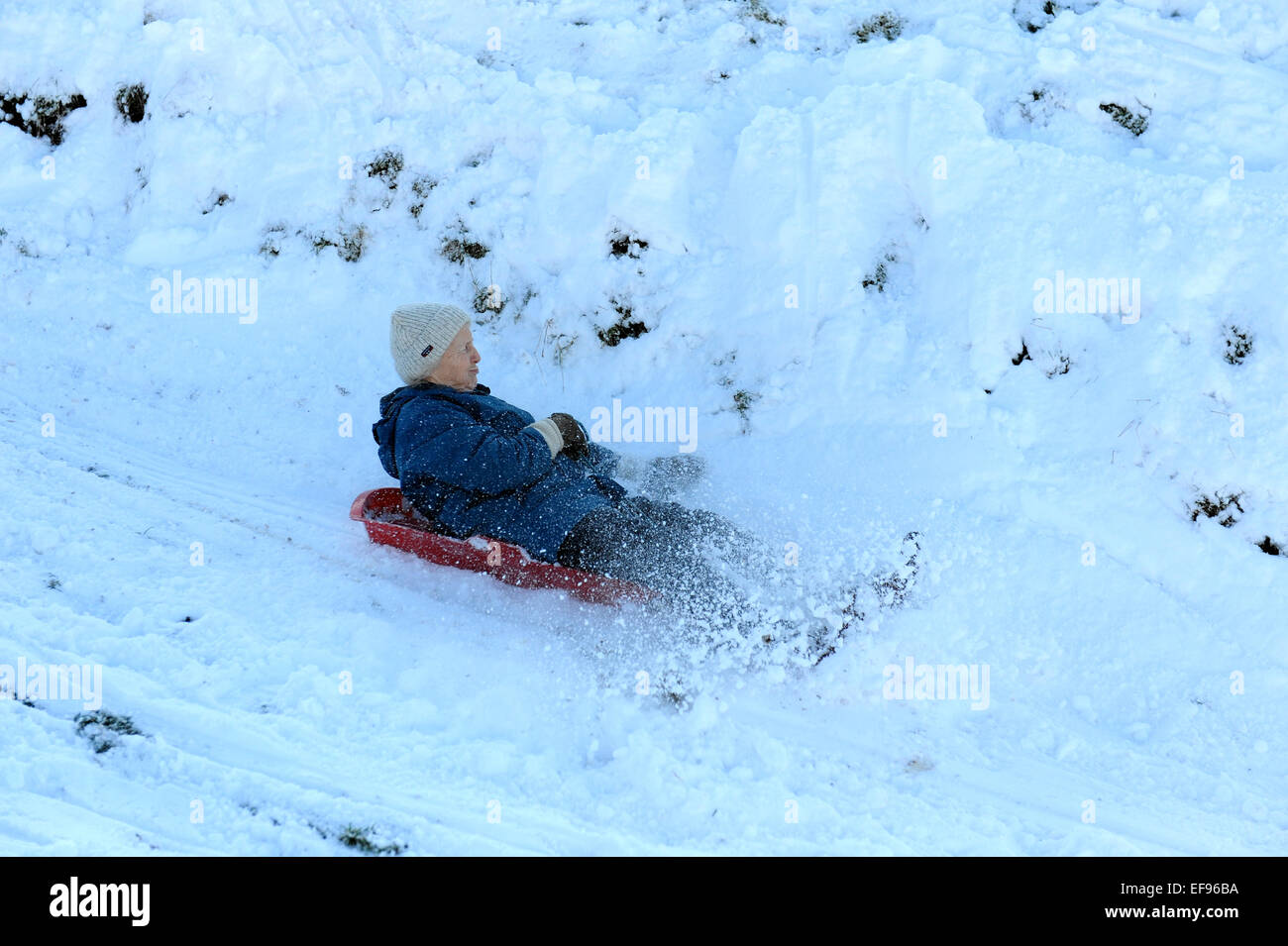 78 year old lady sledging down a snowy hillside Stock Photo