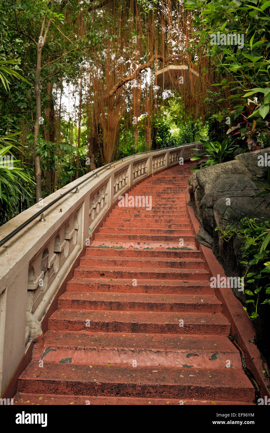 Golden steps hi-res stock photography and images - Alamy