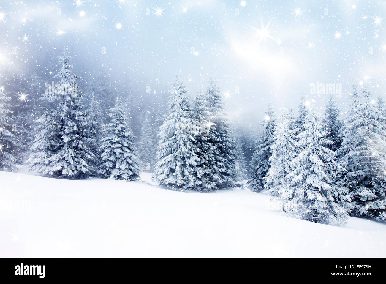 Winter landscape with snowy fir trees Stock Photo - Alamy