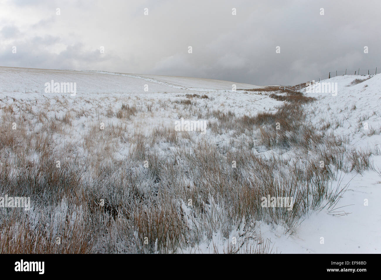 Mynydd Epynt, Powys, Wales, UK. 29th January, 2015. UK Weather: A wintry landscape on the Mynydd Epynt high moorland range of hills in Powys, Mid Wales.  Credit:  Graham M. Lawrence/Alamy Live News. Stock Photo