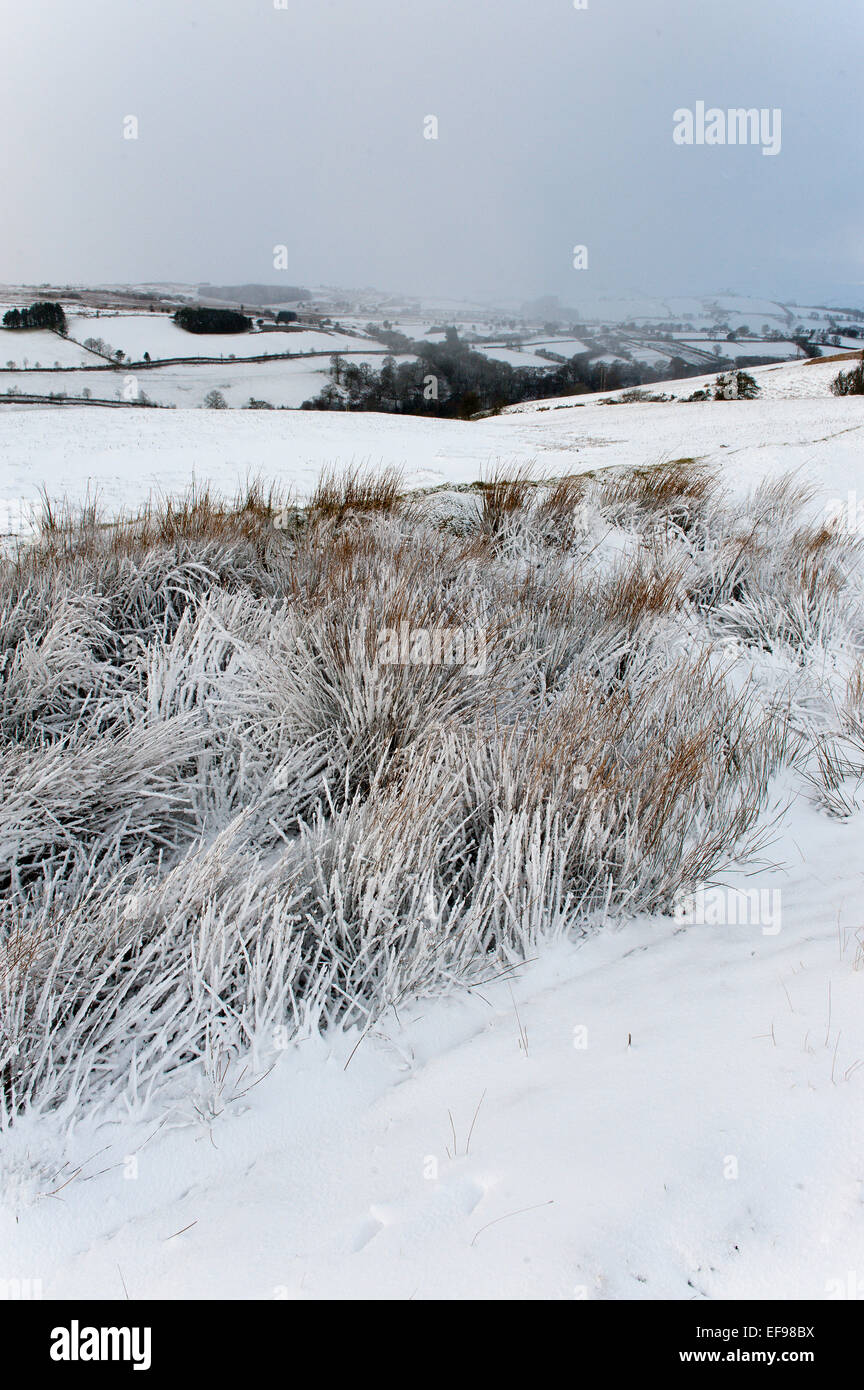 Mynydd Epynt, Powys, Wales, UK. 29th January, 2015. UK Weather: A wintry landscape on the Mynydd Epynt high moorland range of hills in Powys, Mid Wales.  Credit:  Graham M. Lawrence/Alamy Live News. Stock Photo