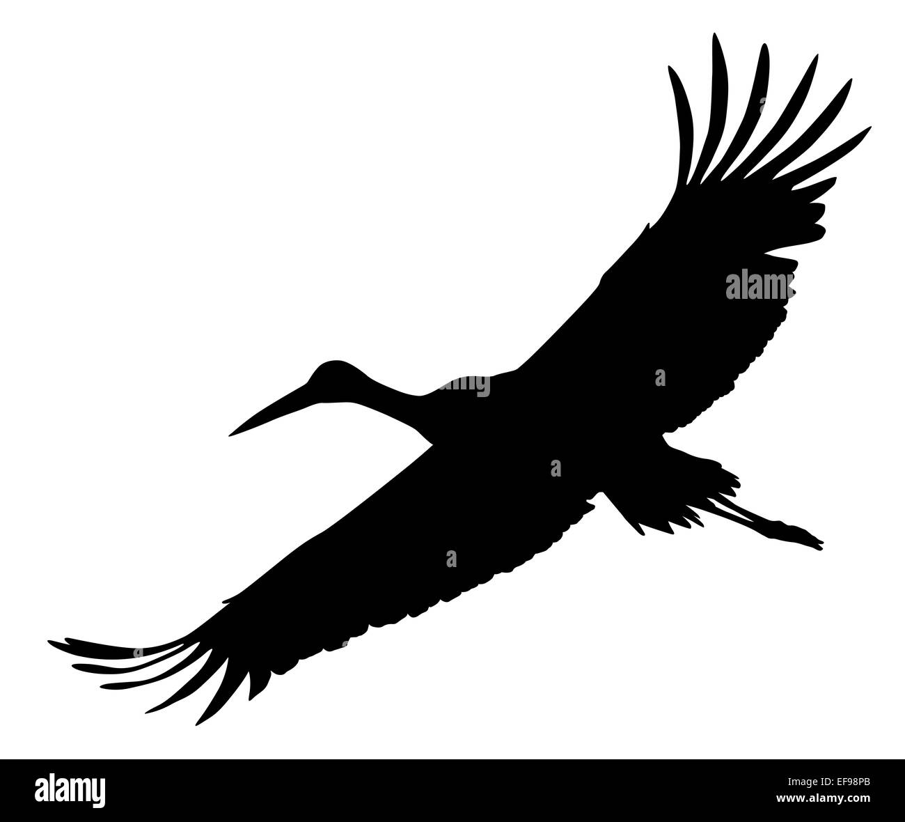 Crane flying.  Vector silhouette Stock Photo