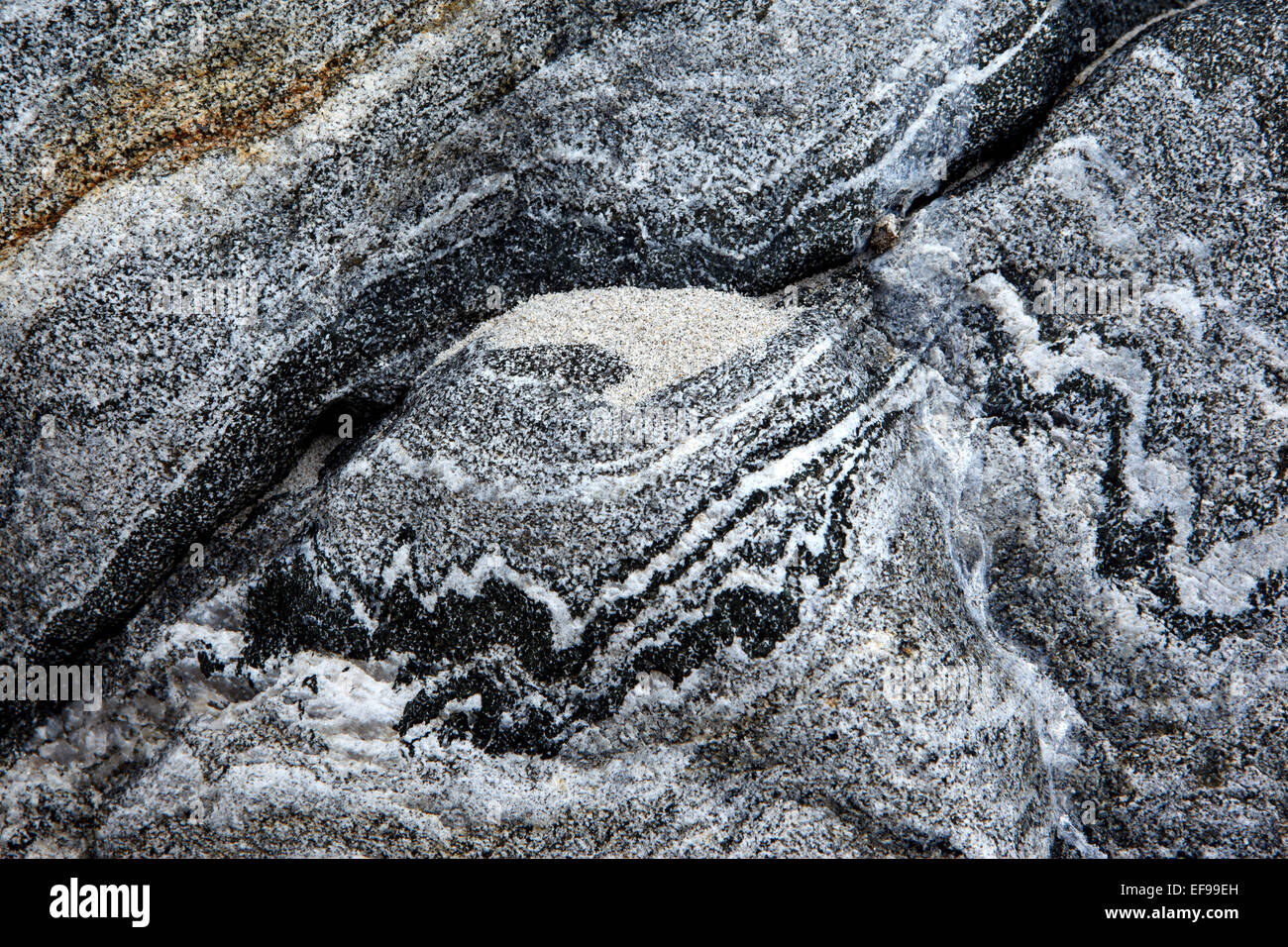 Detail of Lewisian Gneiss rocks on the Isle of Harris in the Outer Hebrides of Scotland Stock Photo