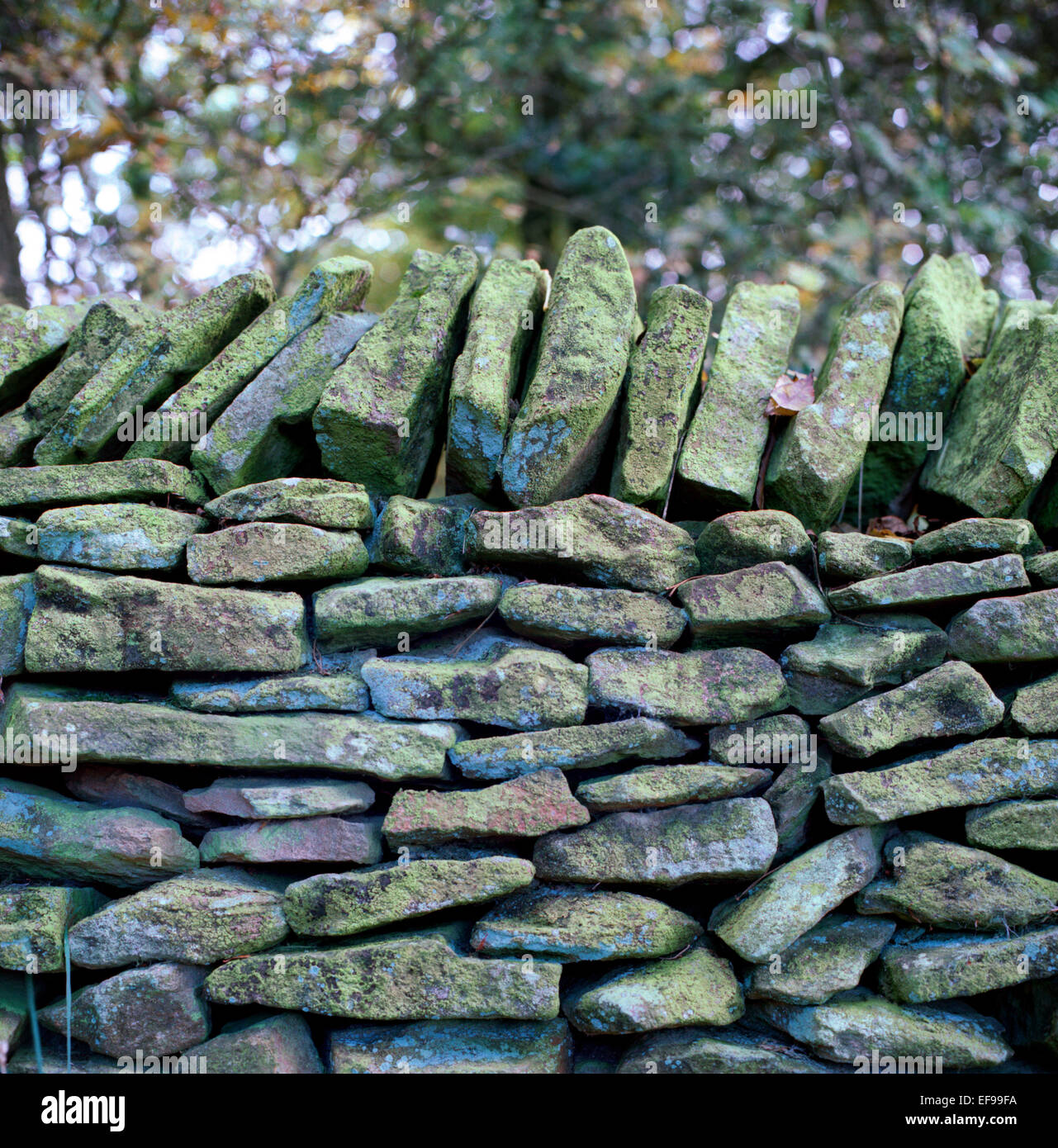 Stone wall in Borrowdale in the English Lake District near Keswick, Cumbria Stock Photo