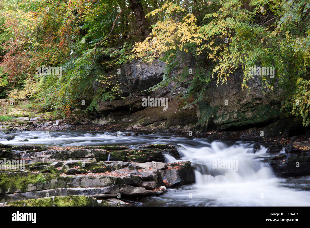 The River Kent near Kendal flows over limestone slabs in the Lake District National Park Stock Photo
