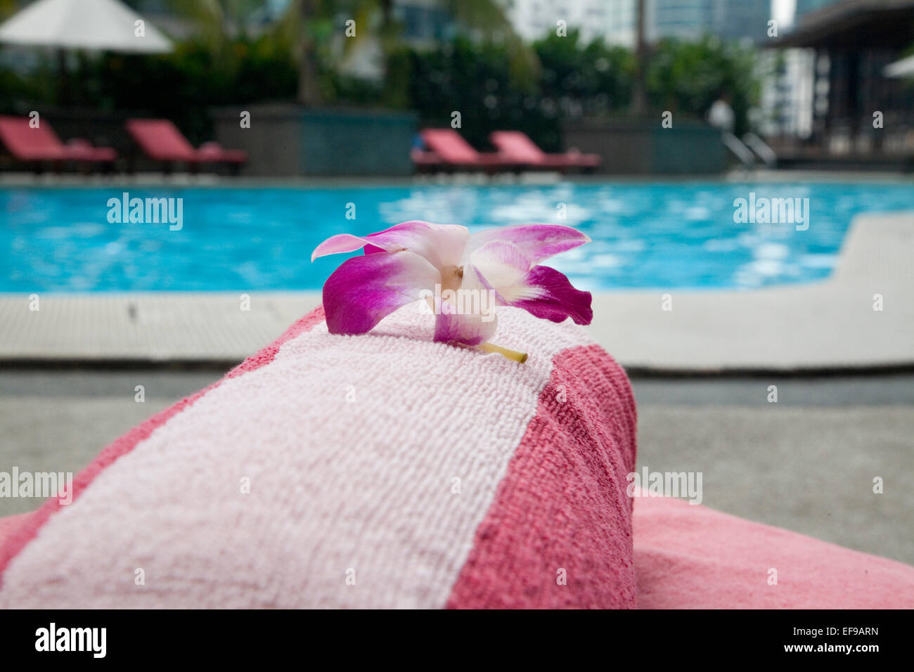 Towel with orchid flower on sun lounger by hotel swimming pool ...
