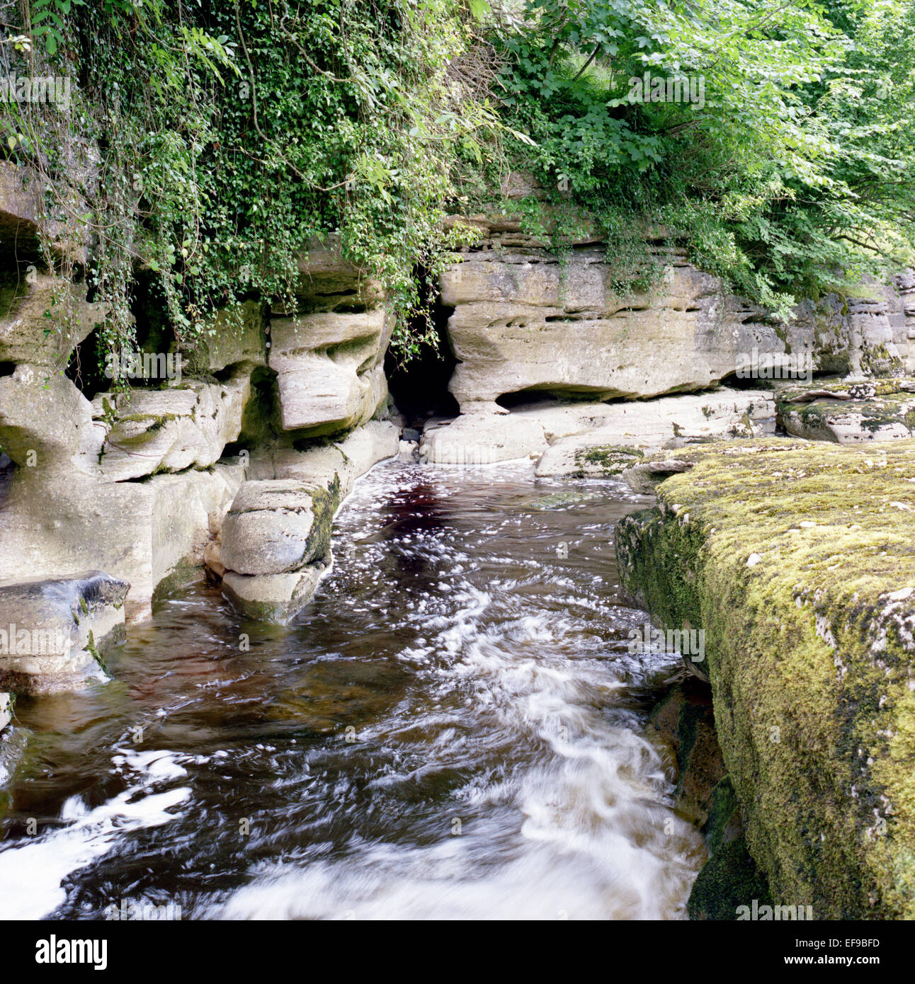 Stenkrith Gorge on the River Eden at Kirkby Stephen, Cumbria Stock Photo