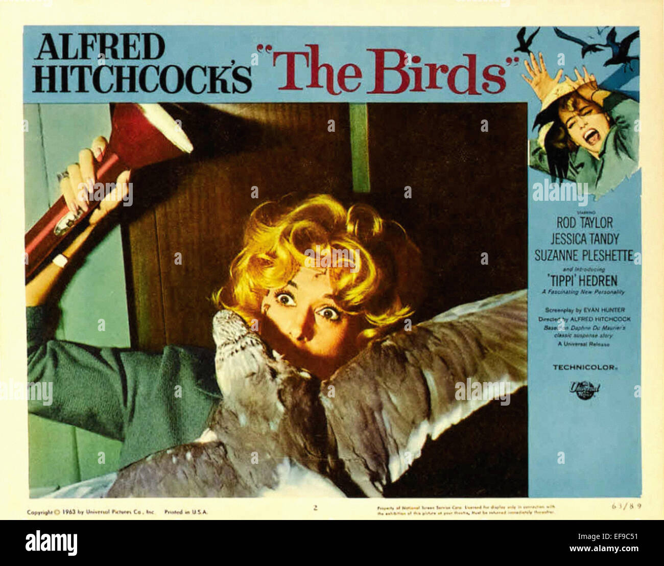 The Birds - Movie Poster - Lobby Card Stock Photo