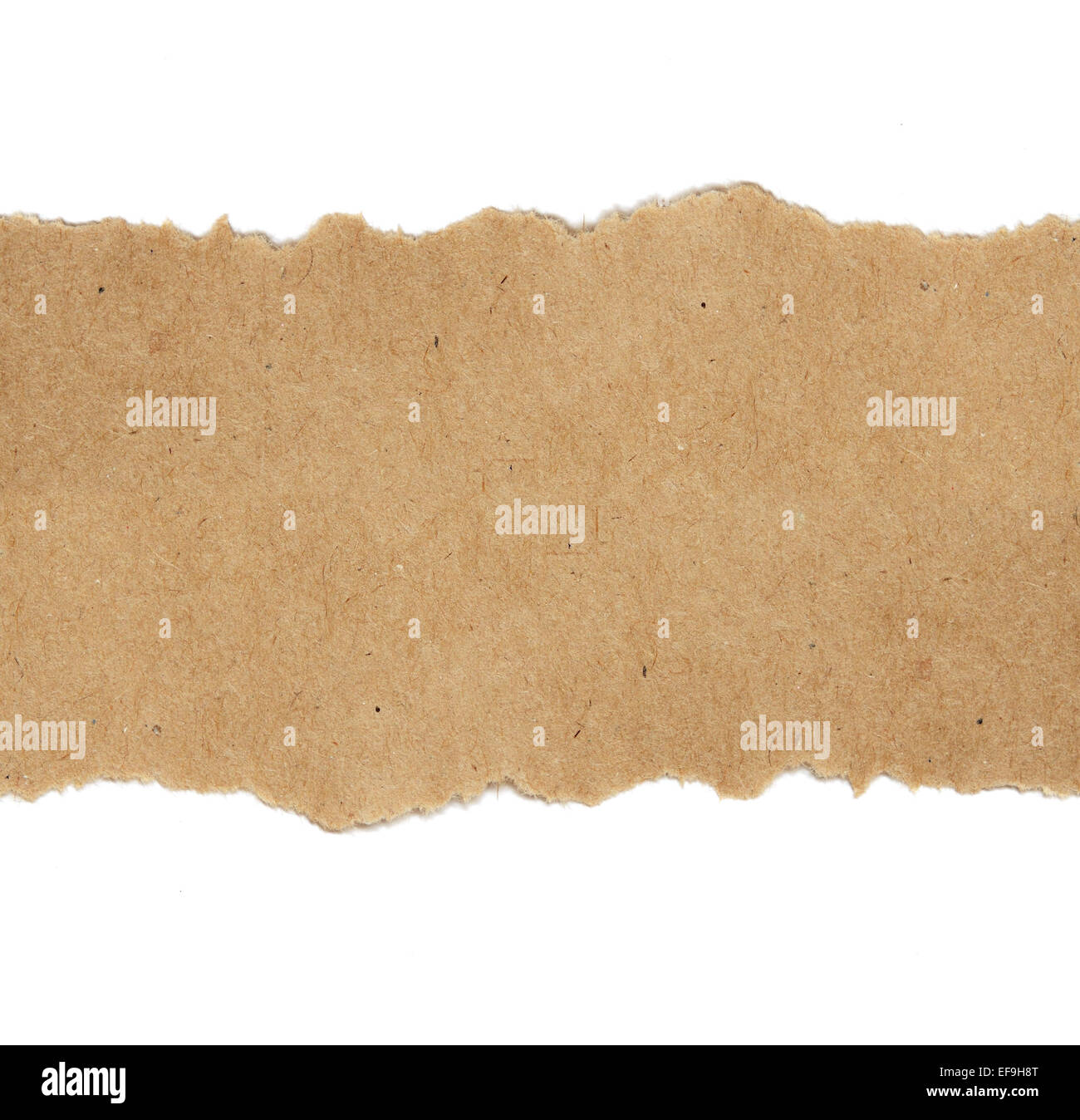 Brown craft paper on white background Stock Photo Alamy