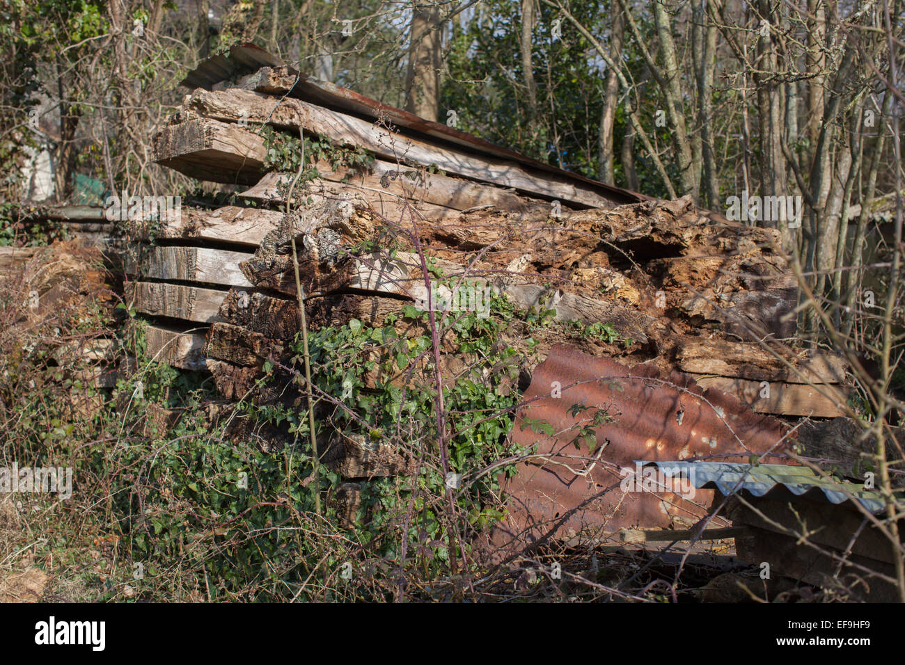 Stacked Air dried timber Stock Photo Alamy