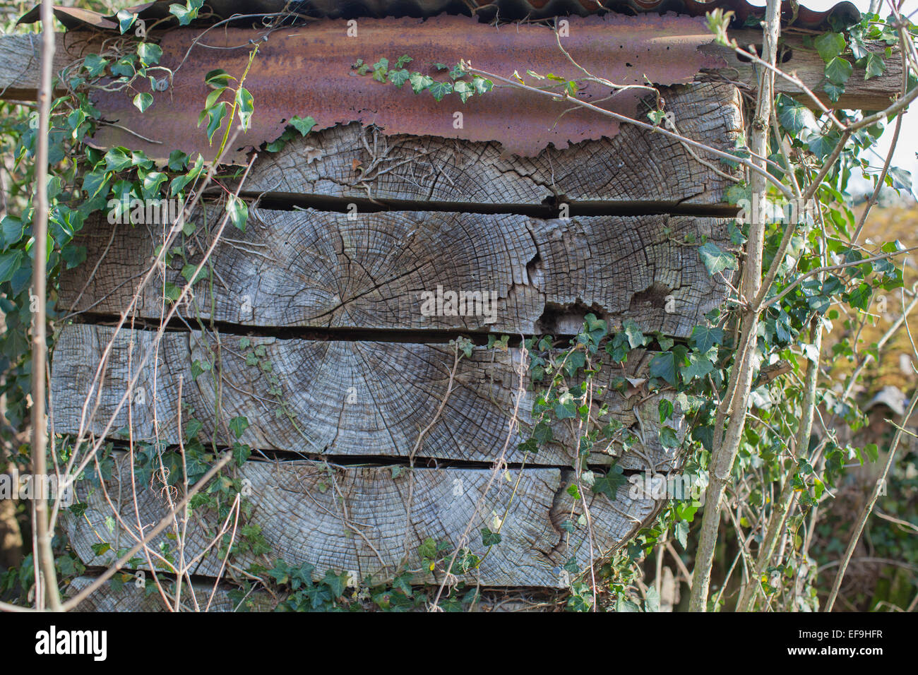 Stacked Air dried timber Stock Photo Alamy