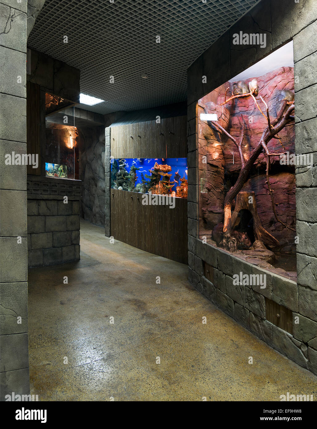 indoor zoo park Stock Photo Alamy