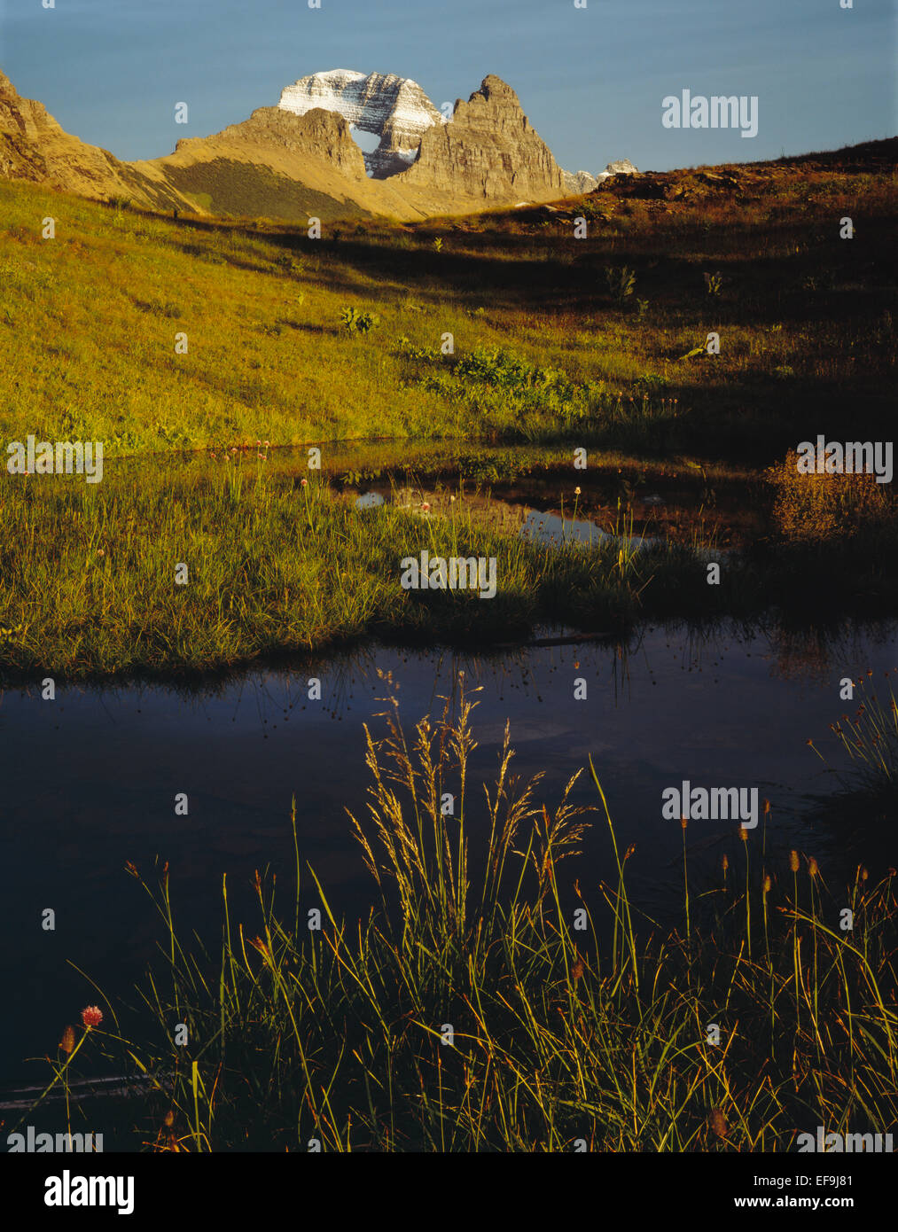 Alpine pond and Mt. Gould from Granite Park,Glacier National Park