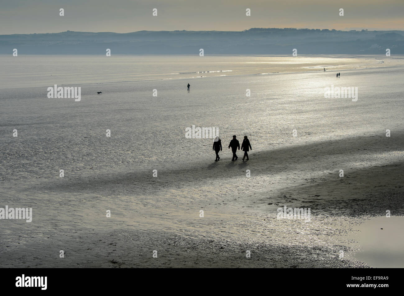 A group of three 3 walkers silhouetted on Filey Beach. The tide is out. Low tide. Stock Photo