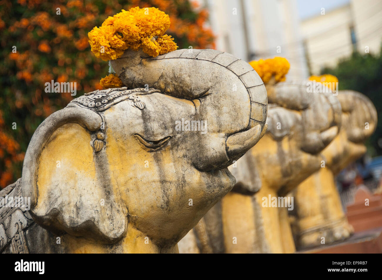 Horizontal close up of a row of stone elephants at Wat Doi Suthep in Chiang Mai. Stock Photo