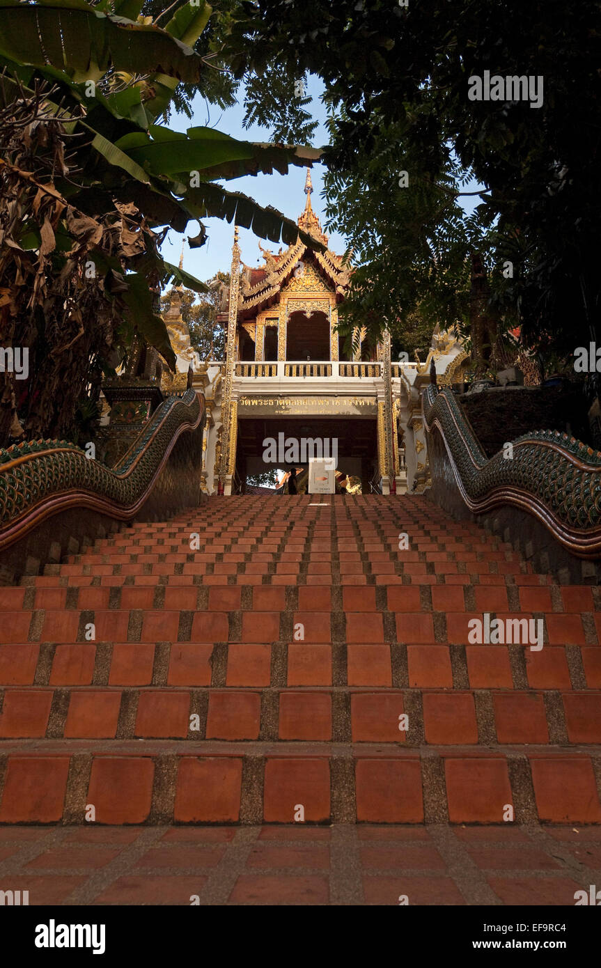 Vertical view of the steep steps and entrance to Wat Doi Suthep in Chiang Mai. Stock Photo