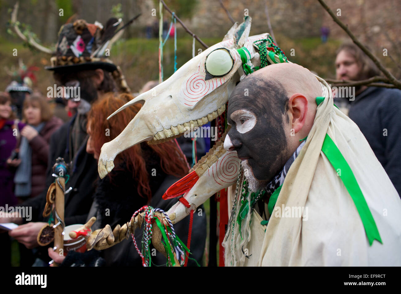 'Mari Lwyd' or Grey Mare celebrations at Chepstow, Wales, UK, a Welsh