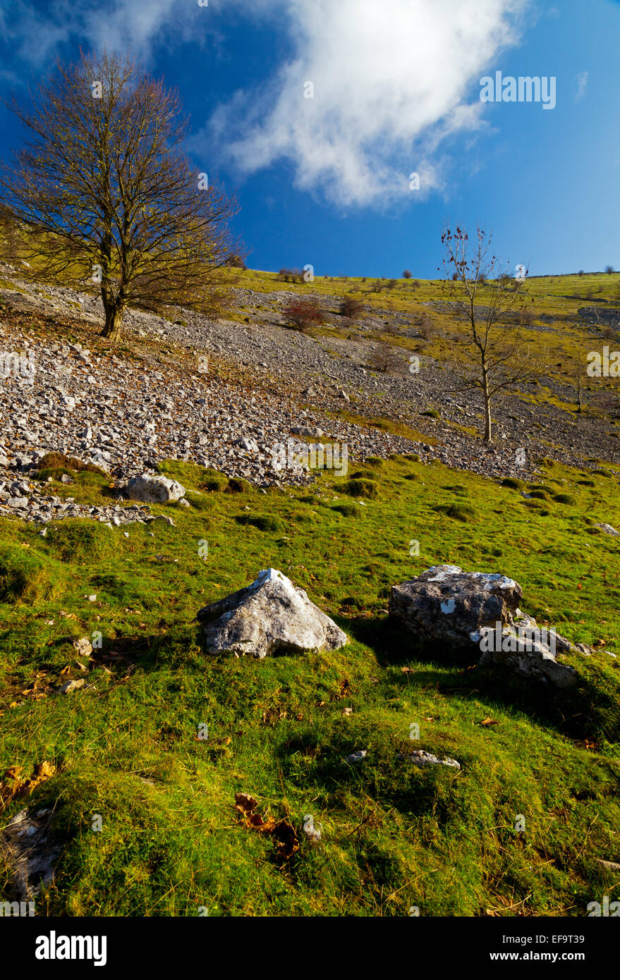 White peak area hires stock photography and images Alamy