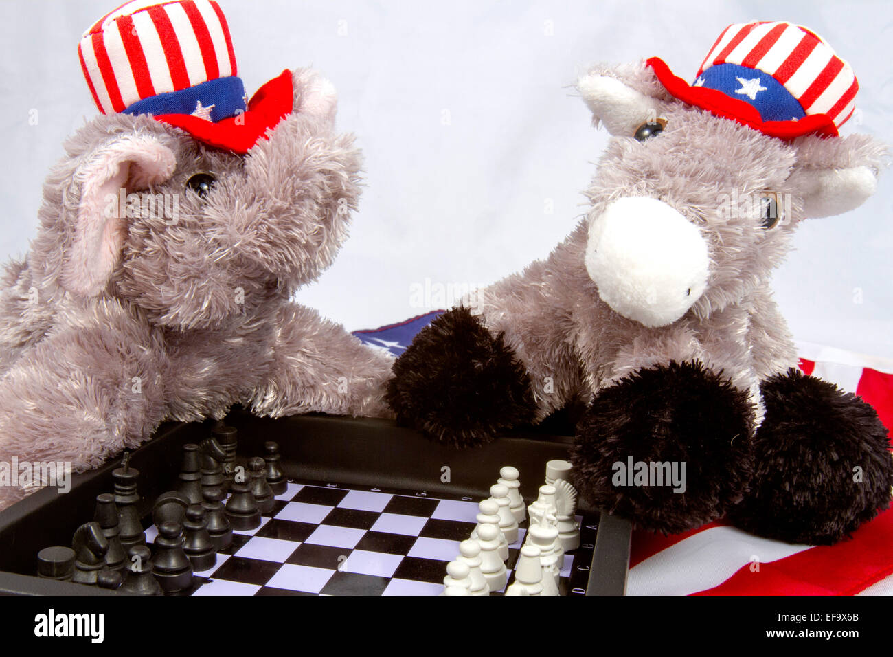 Elephant And Donkey High Resolution Stock Photography and Images - Alamy