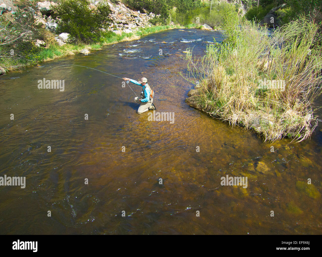 Man trout fishing hires stock photography and images Alamy