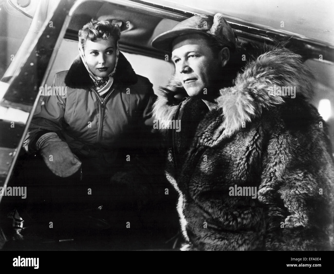 Wayne morris hires stock photography and images Alamy