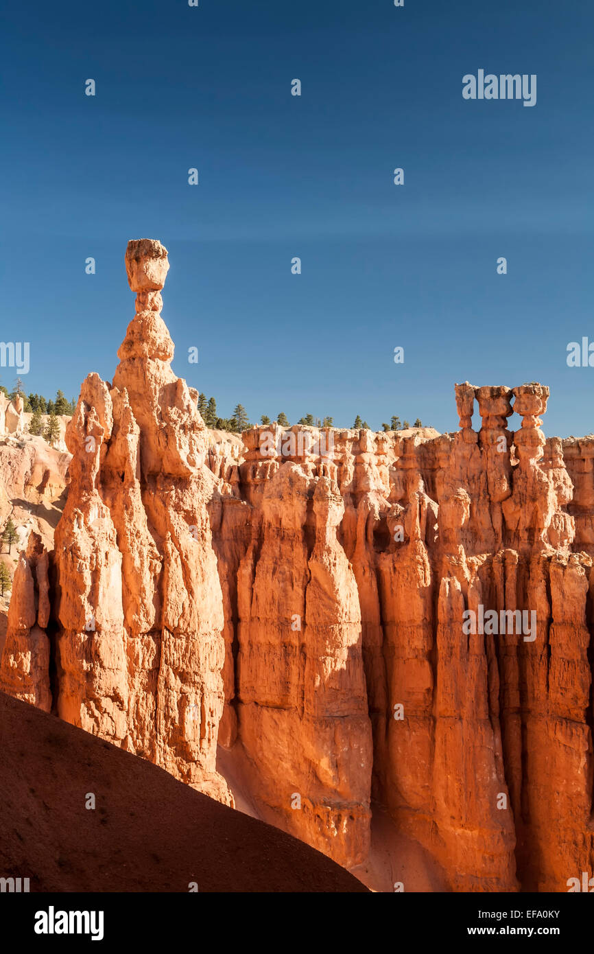 Thor's Hammer, Bryce Canyon National Park, Utah USA Stock Photo Alamy
