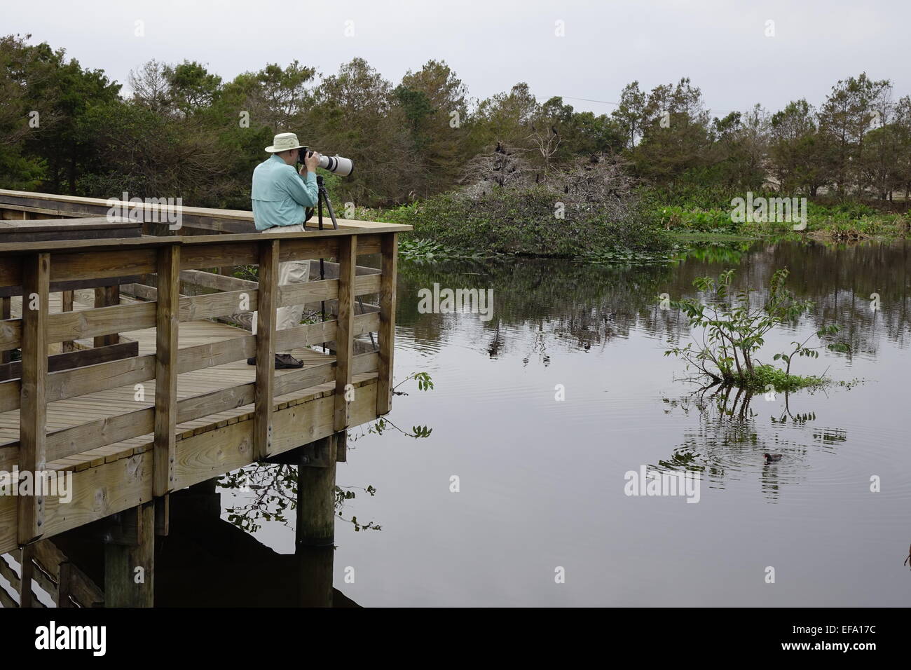 Photographer with telephoto lens at Wakodahatchee Wetlands, Delray Beach, Palm Beach County, Florida Stock Photo