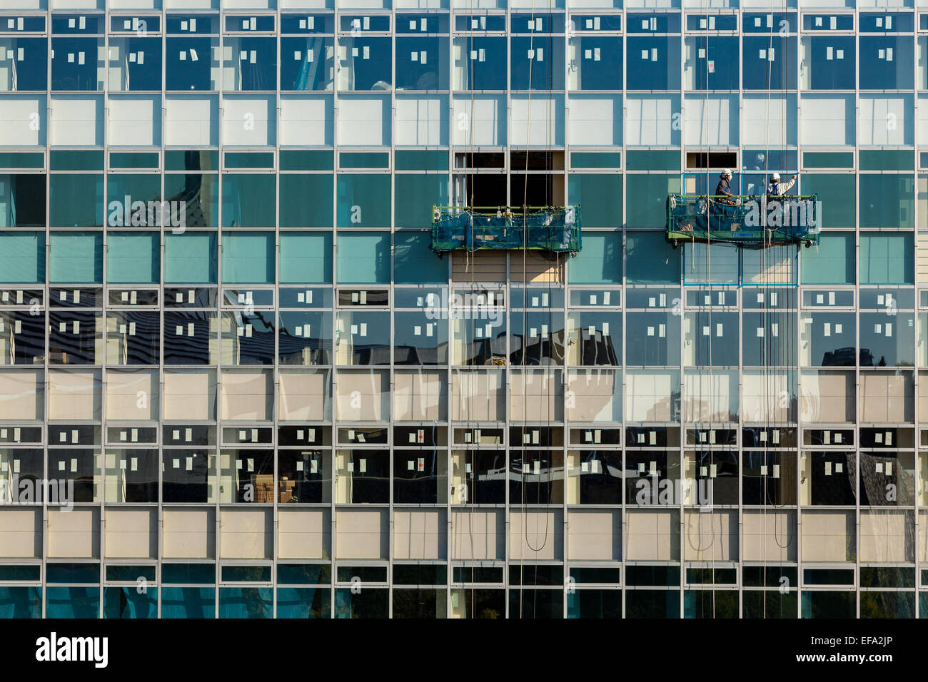 Workmen inspect the windows of a building that is being refurbished. Yoyogi National Gymnasium is reflected in the windows. Tokyo, Japan Stock Photo