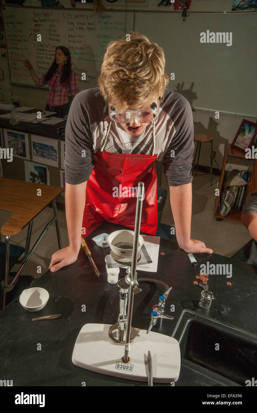 A high school chemistry student in San Clemente, CA, heats sodium hydroxide (NaOH) over a bunsen burner to preparation for creating zinc alloy on copper. Note apron and safety goggles. Stock Photo