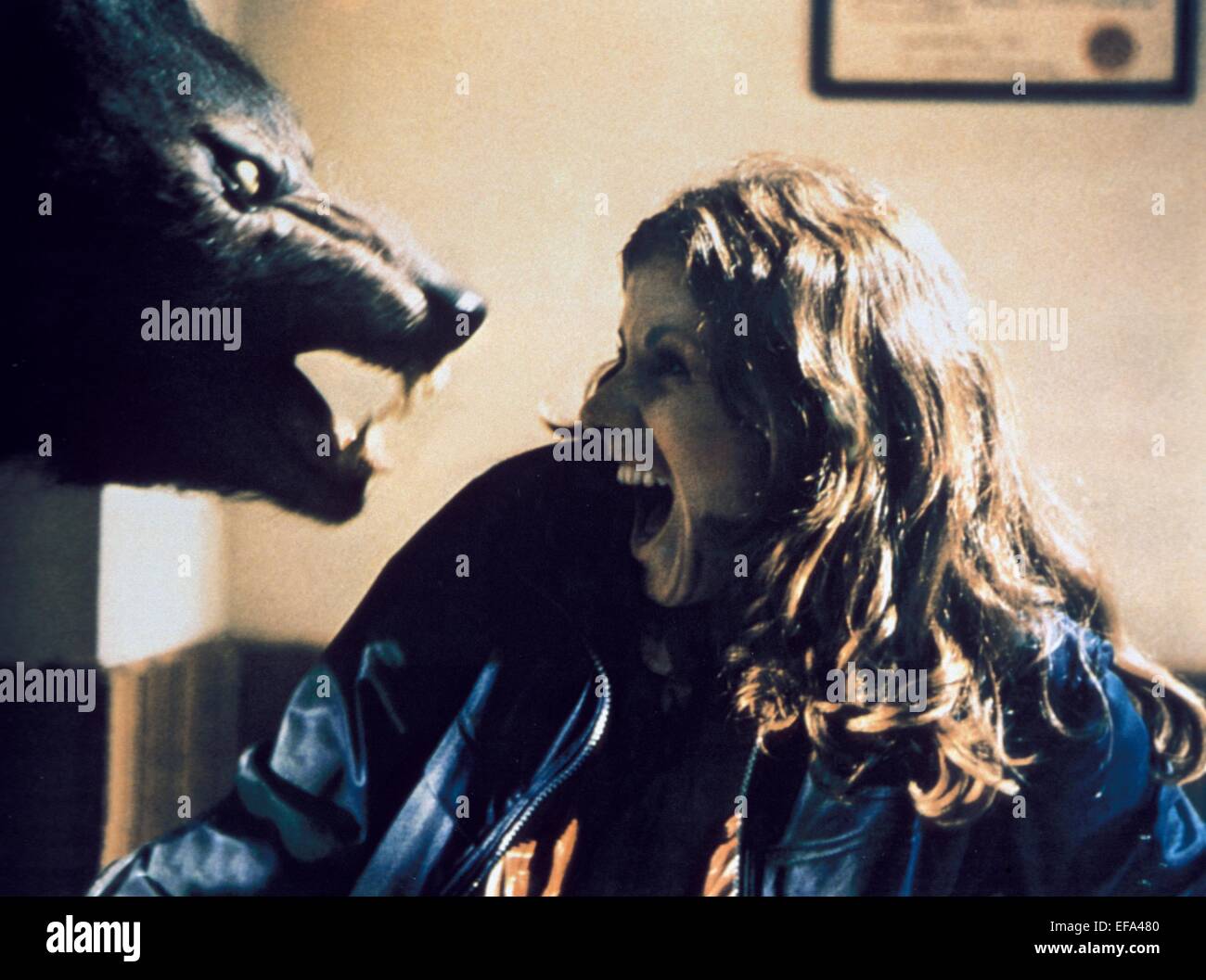 WEREWOLF ATTACK SCENE THE HOWLING (1981 Stock Photo Alamy