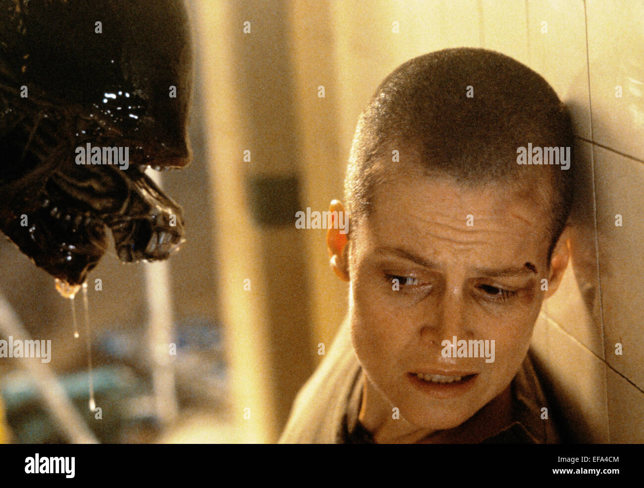 Alien 3 Stock Photos Alien 3 Stock Images Alamy
