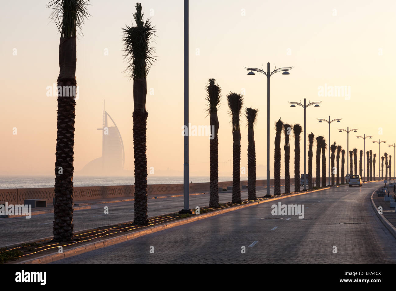 Palm trees alley at the Palm Jumeirah, Dubai, United Arab Emirates Stock Photo