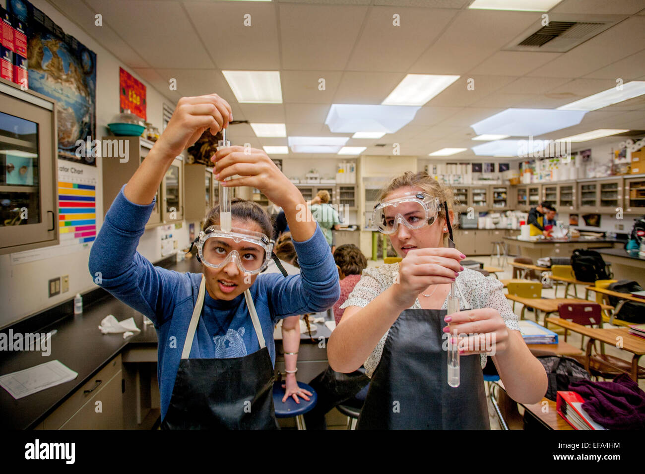 Multiracial high school chemistry students perform a qualitative analysis experiment seeking the presence of a basic solution in an unknown by adding phenolphthalein indicator which turns pink in the presence of a base. Note safety goggles and aprons. Stock Photo