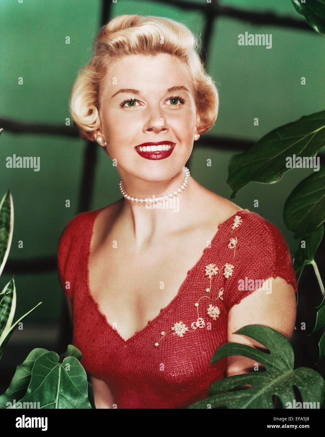 DORIS DAY ACTRESS (1953 Stock Photo Alamy