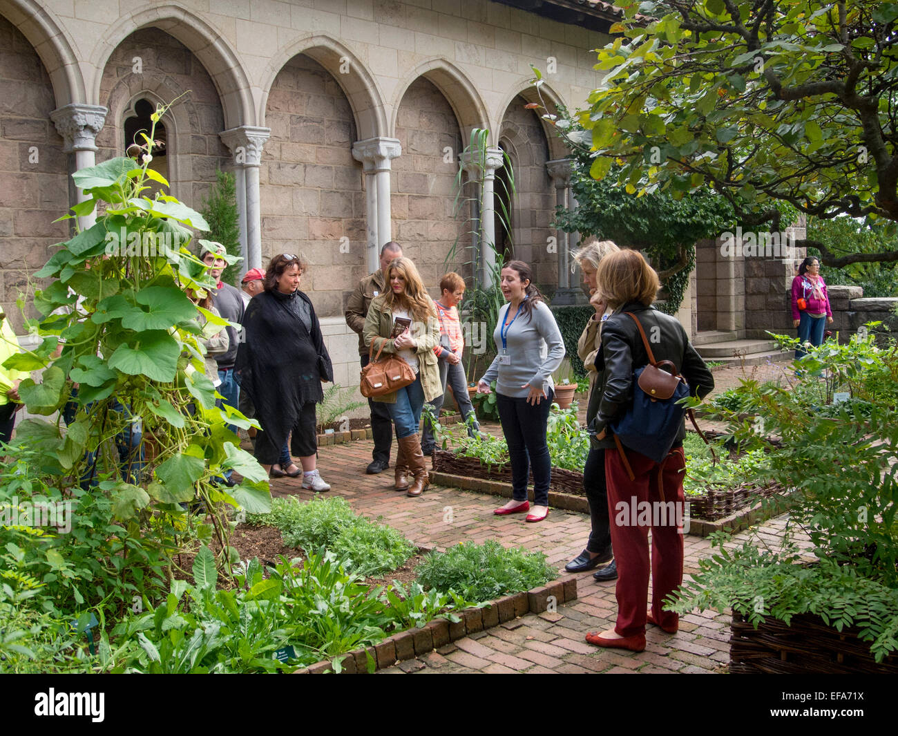 A guide conducts visitors through the Bonnefont Herb Garden at The Cloisters Museum in Fort Tryon Park, New York City. Note medieval architecture. Stock Photo