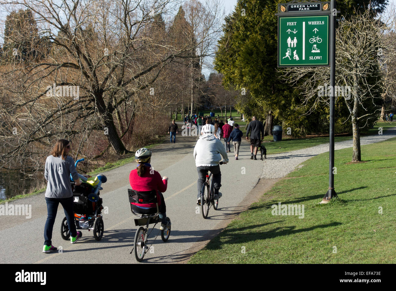 pedestrian and wheeled traffic at Green Lake Park, Seattle, Washington State, USA Stock Photo