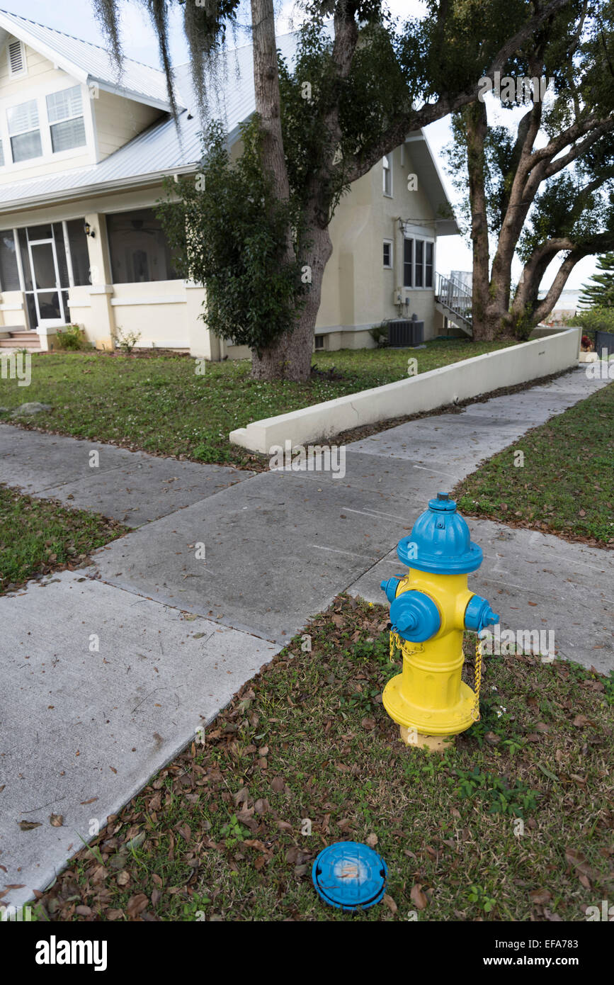 Fire hydrant, Clermont, Lake County, Florida Stock Photo