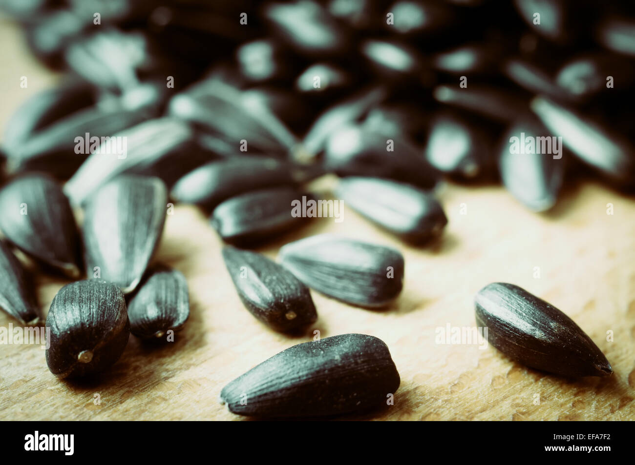 Sunflower seeds roasted closeup scattered Stock Photo