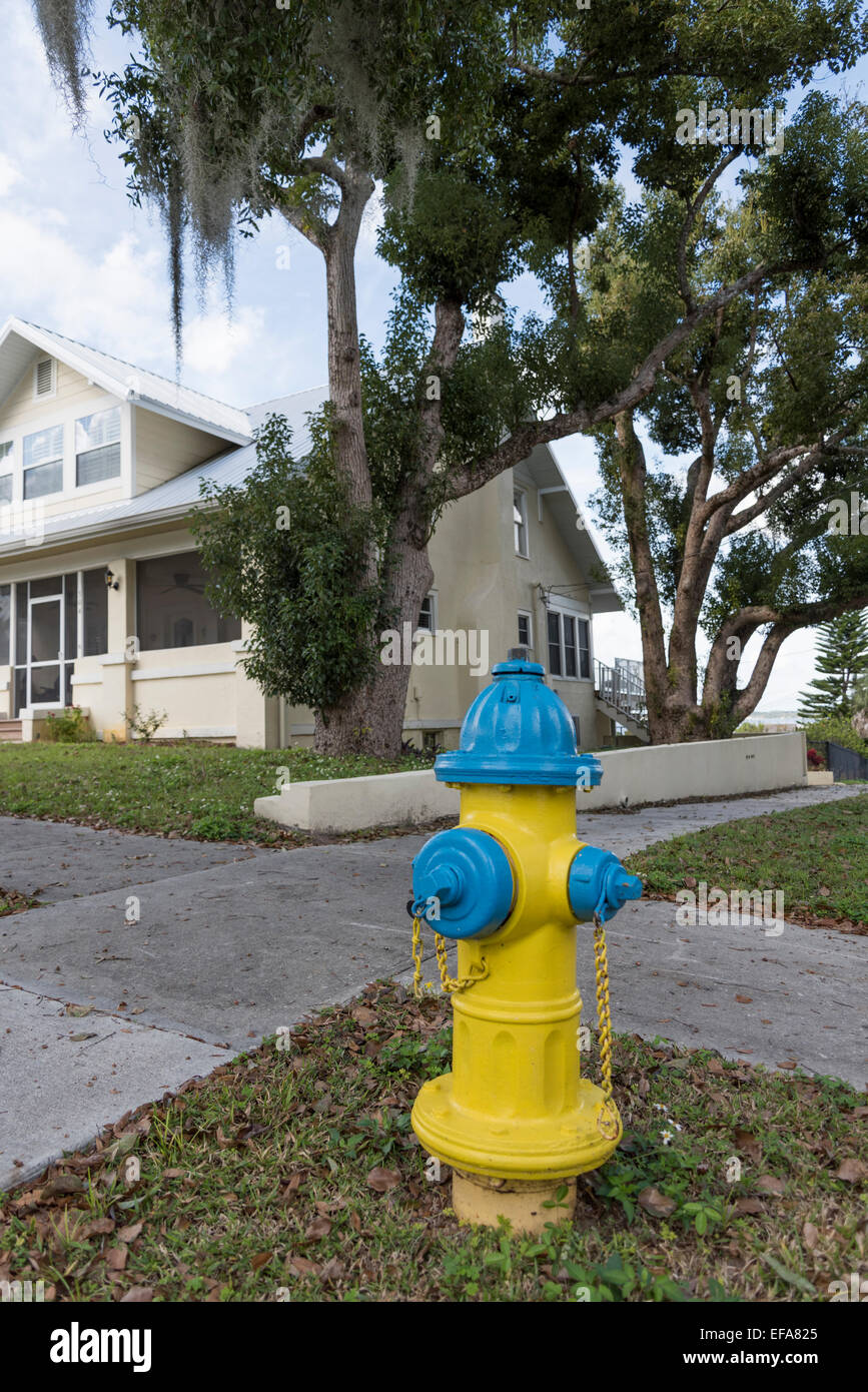 Fire hydrant, Clermont, Lake County, Florida Stock Photo