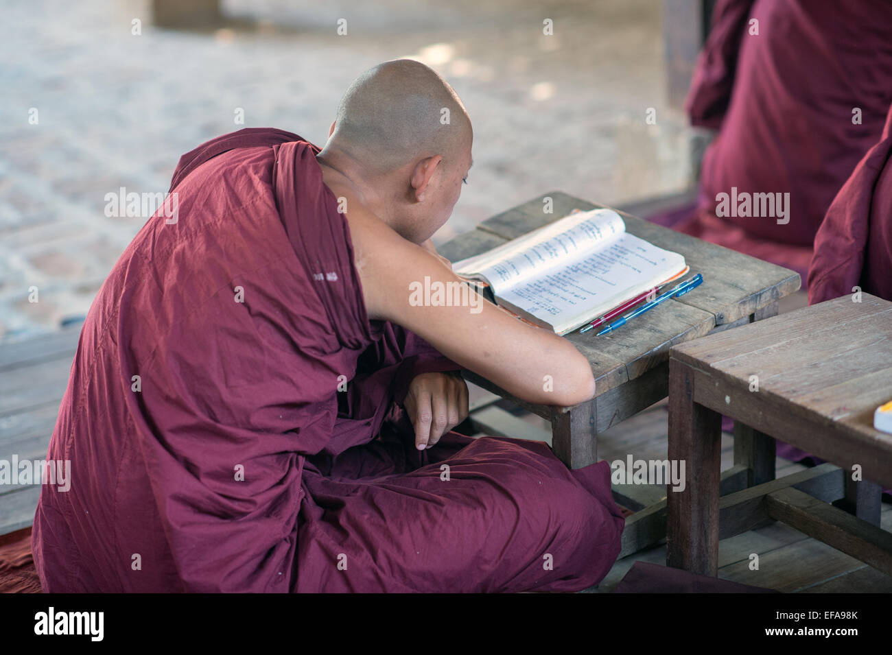 Young Burmese novice monk studies a book in a monastery in Bagan. Stock Photo