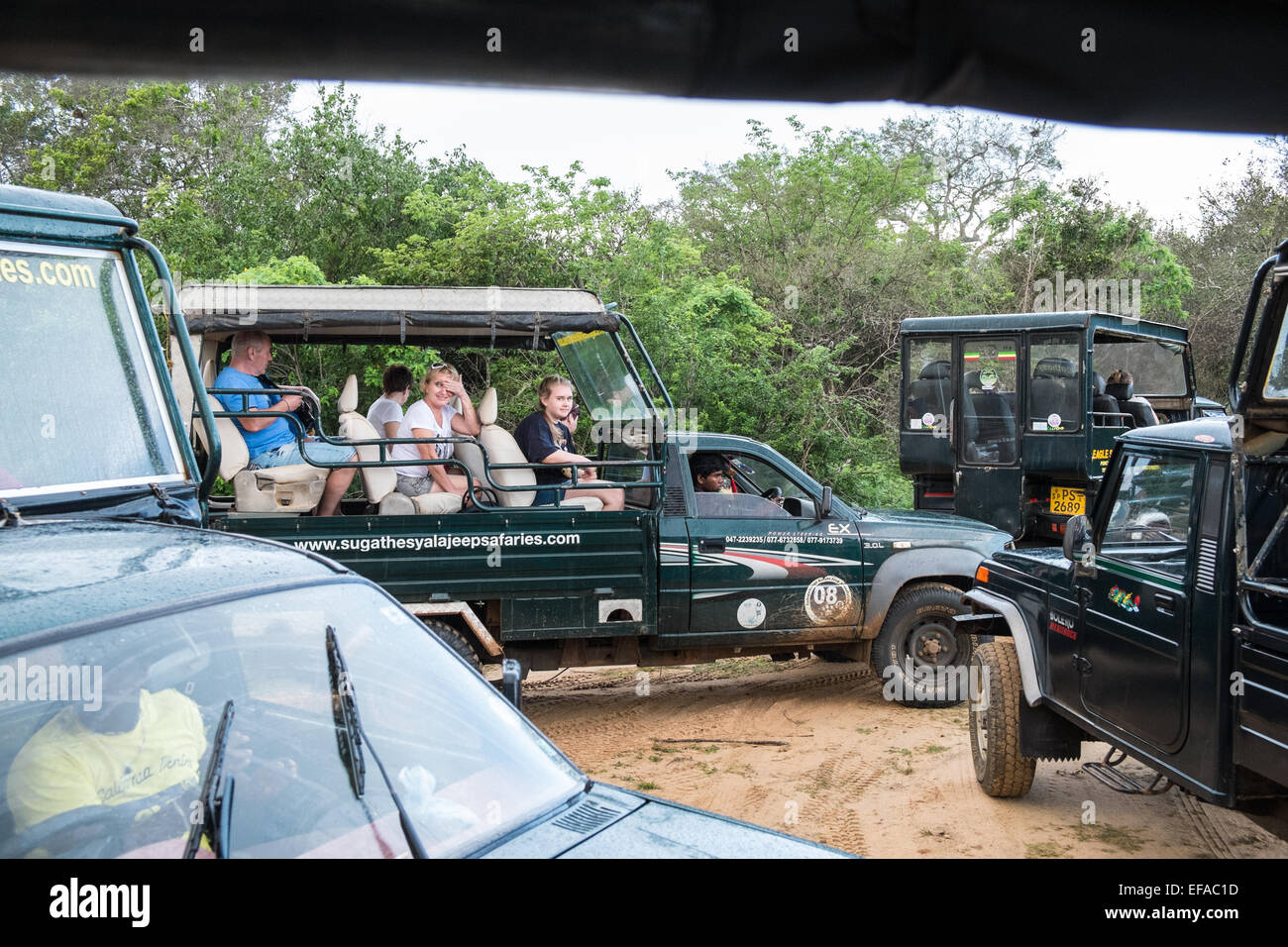 Tourists in jeeps traffic jams while chasing wildlife,especially leopards,in packs of vehicles.Yala National Park,Sri Lanka. Stock Photo