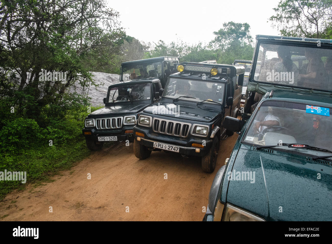 Tourists in jeeps traffic jams while chasing wildlife,especially leopards,in packs of vehicles.Yala National Park,Sri Lanka. Stock Photo