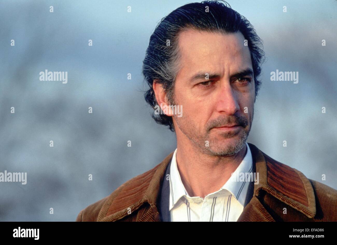 david-strathairn-the-firm-1993-EFAD86.jp