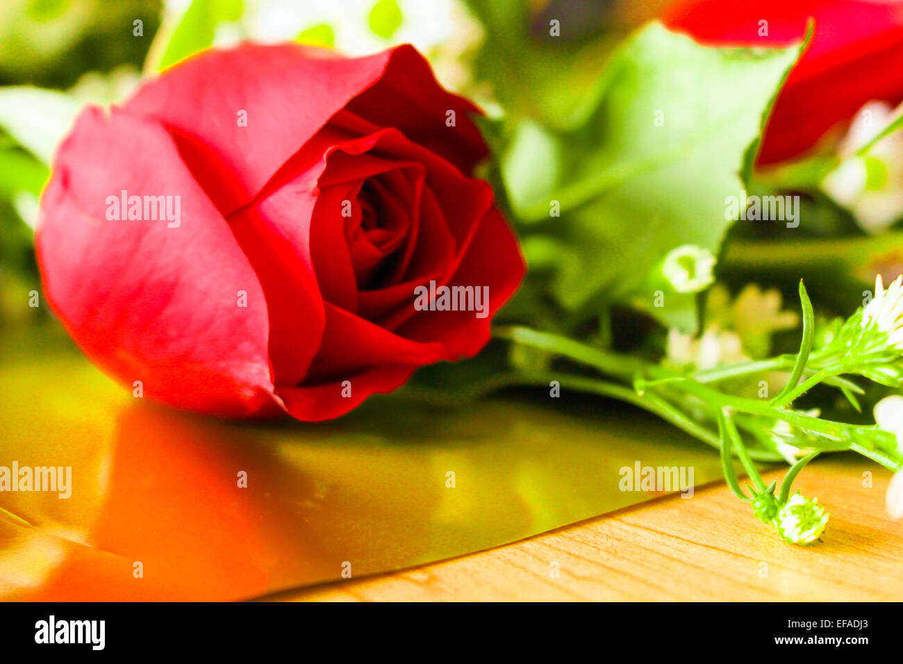 Roses and Lily put on plastic, wood and gold. Stock Photo