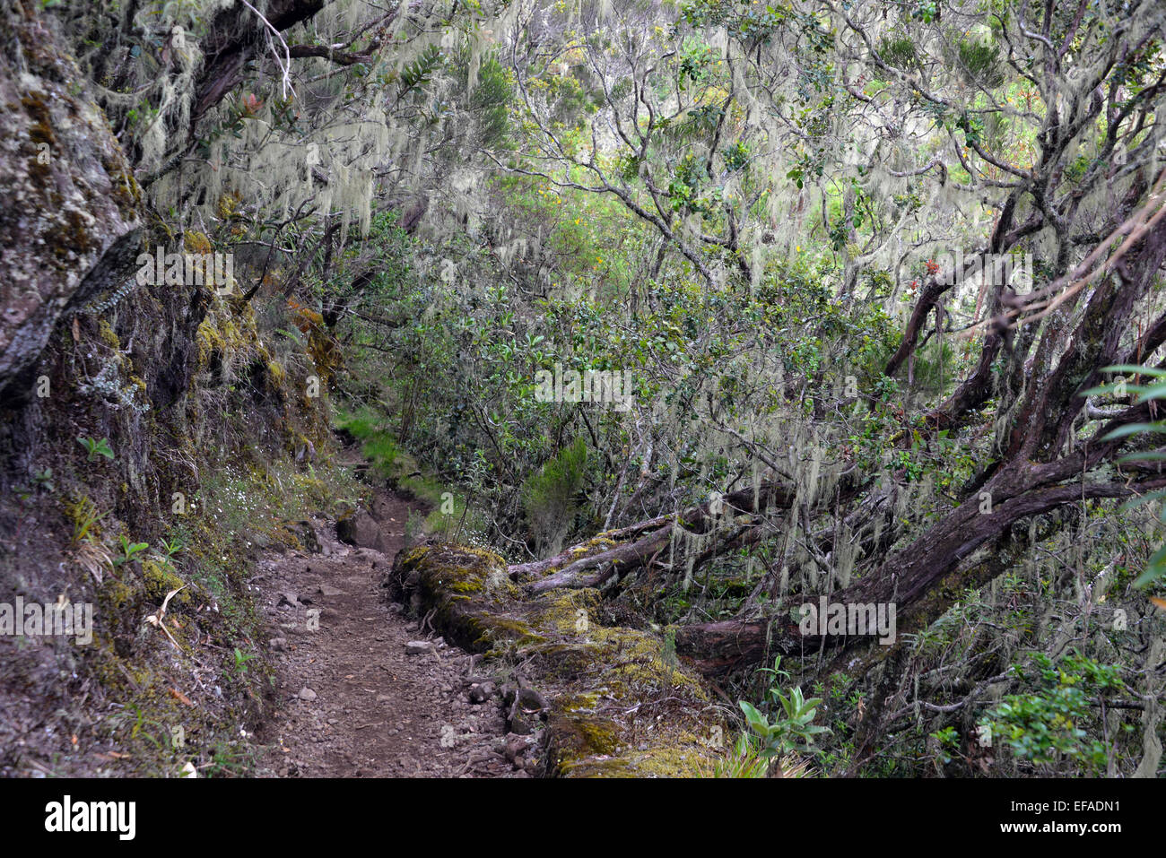 Piton des neiges hires stock photography and images Alamy